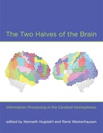 The Two Halves of the Brain