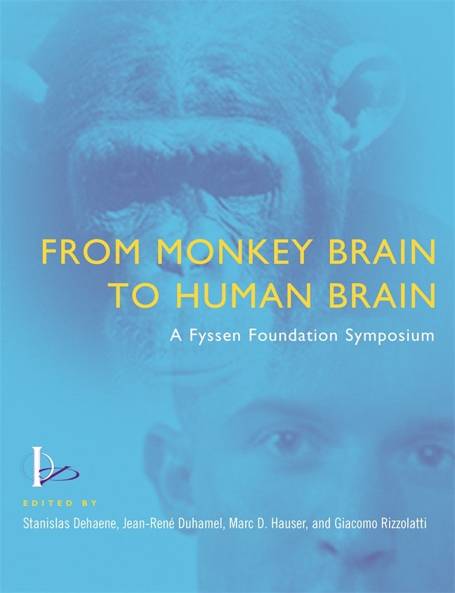 From Monkey Brain to Human Brain