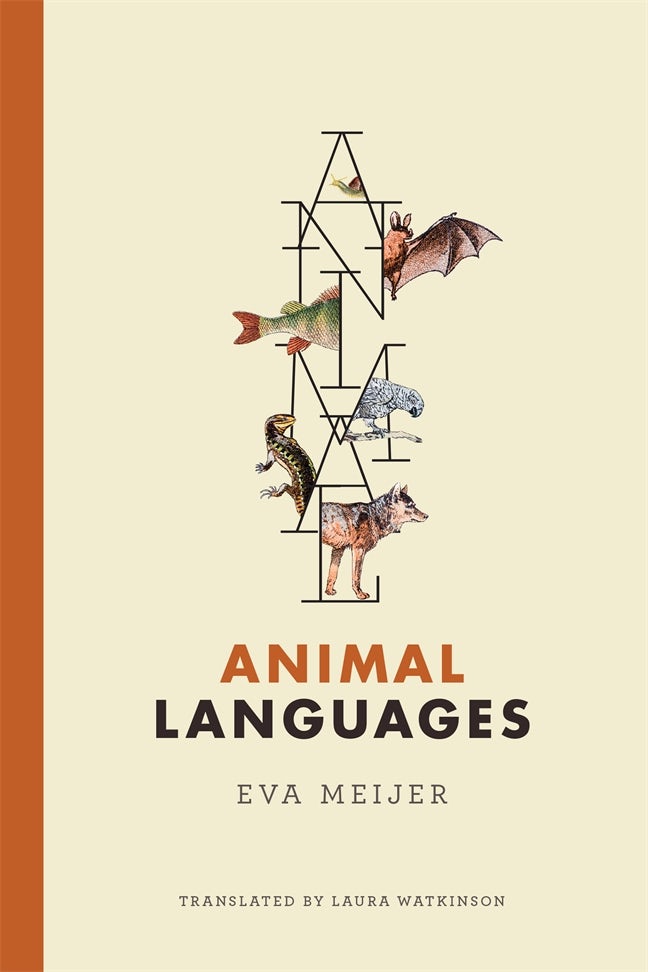 Animal Communication DVD・テキストブック Animal Communication DVD・テキストブック - メルカリ