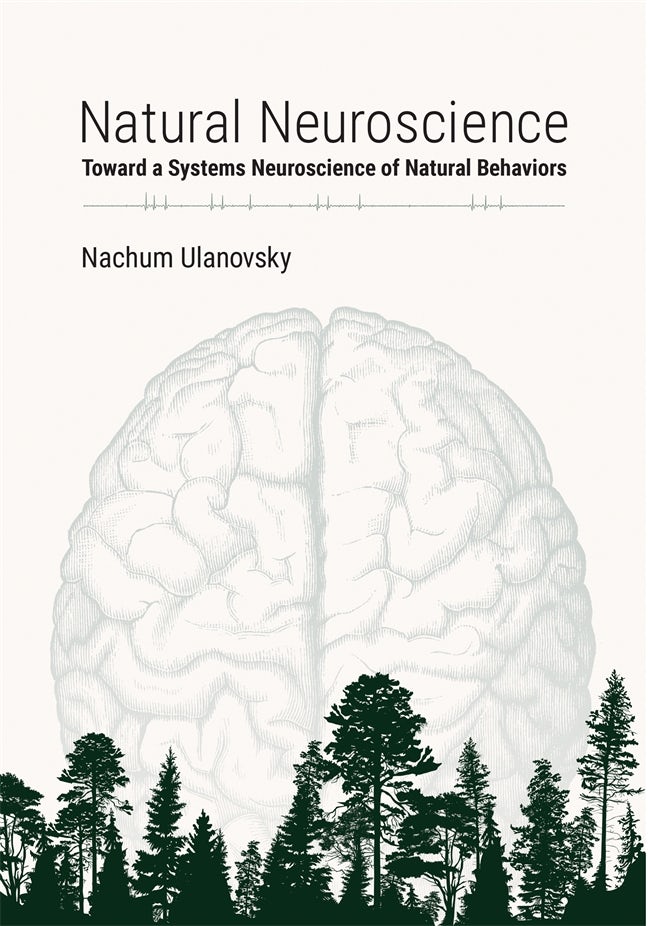 The Mindful Brain