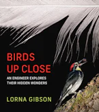 Cover of 'Birds Up Close' by Lorna J. Gibson 