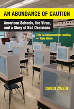 Cover of 'An Abundance of Caution' by David Zweig 