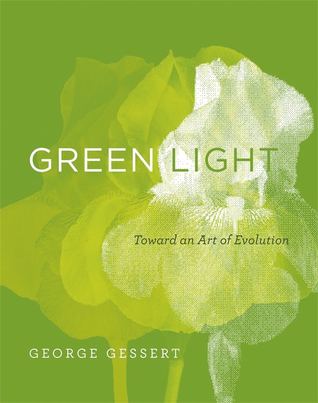 1500/予約済み　　All Light: Vol.1 (Green ver.) 9780262517300.jpg?auto=format&