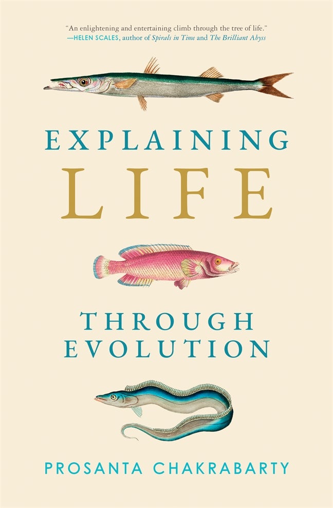 語学+参考書 Life History Evolution Amazon.com: Life History Evolution: Traits, Interactions, and