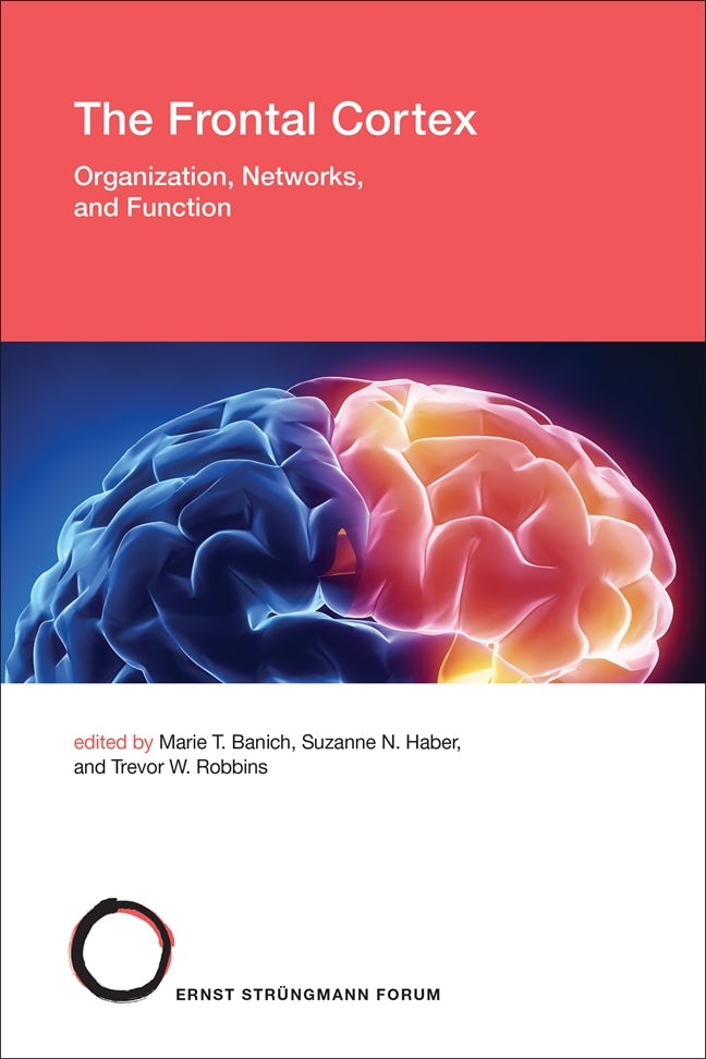 The Mindful Brain