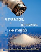 Perturbations, Optimization, and Statistics Perturbations, Optimization, and Statistics