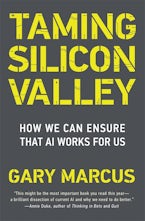 Taming Silicon Valley