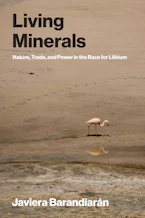 Cover of 'Living Minerals' by Javiera Barandiarán 
