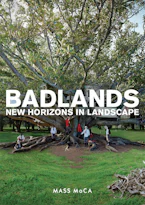 Cover of 'Badlands' by Denise Markonish 