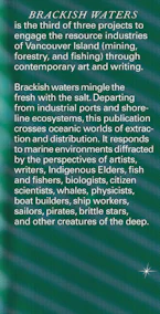 Cover of 'Brackish Waters' by Jesse Birch and Will Holder 
